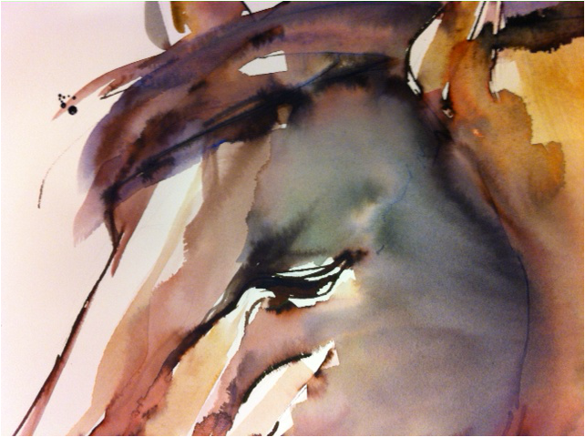 Häst akvarell, horse watercolor